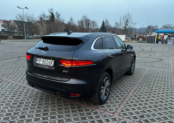 Jaguar F-Pace cena 125500 przebieg: 81000, rok produkcji 2017 z Jawor małe 562